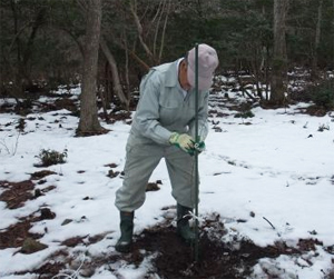 里守隊活動　次郎長さん　苗木　植樹