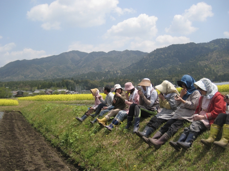 菜ばかりの誕生