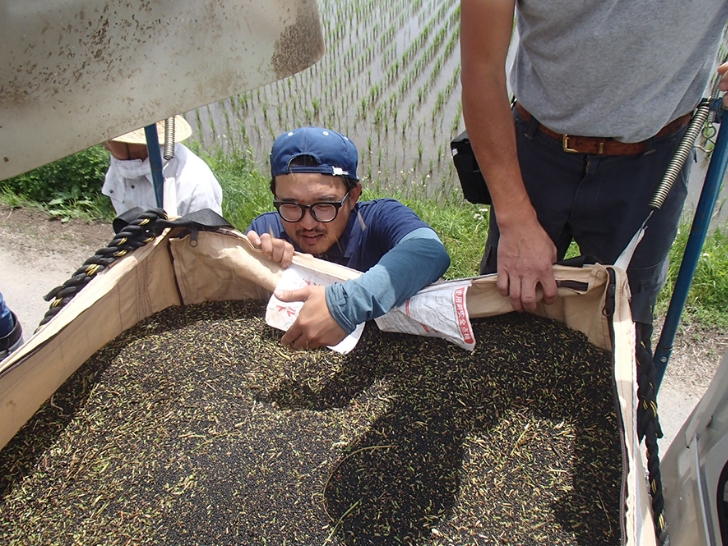 菜ばかりの誕生