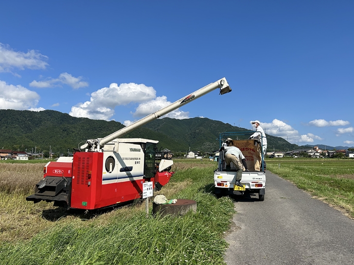 菜ばかりの誕生