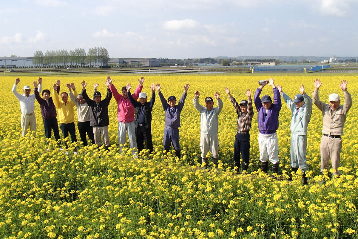 大切に育てた菜種