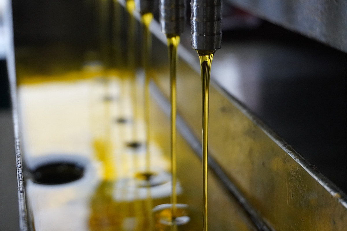 一番搾りだけを使用